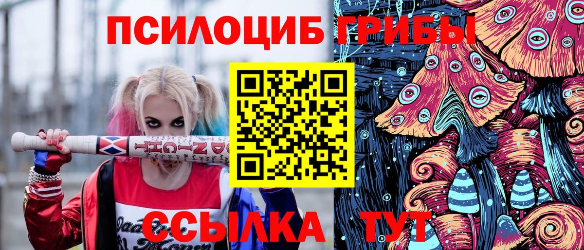 Электросталь  Псилоцибиновые грибы мицелий  как найти наркотики  Вход с VPN 