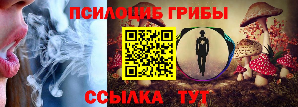 Галлюциногенные грибы мухоморы Электросталь